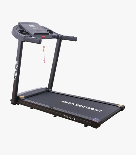 WC1111 TREADMILL DC