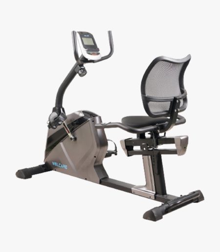 WC1599 recumbent bike